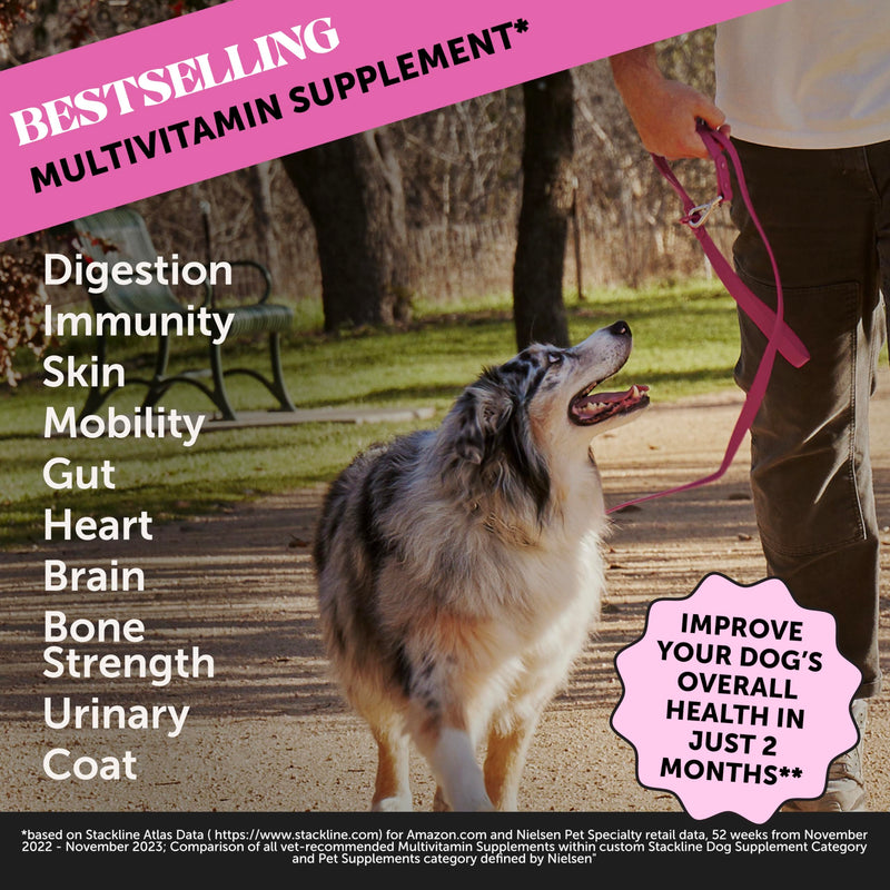 Flea and Tick Prevention & Multivitamin Virtual Bundle: Natural Flea Chews & Dog Vitamins with Glucosamine for Skin and Coat (Bacon & Peanut Butter 90 ct)