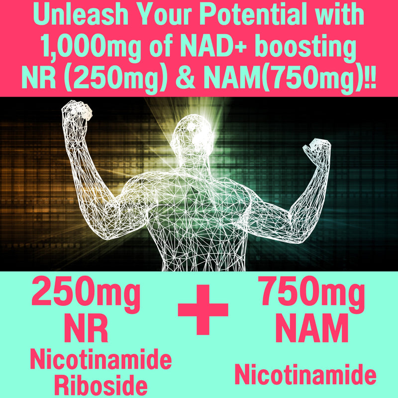 SHIZAM Nicotinamide Riboside NR NAM Resveratrol Gummies, 1000mg NAD+ NAD + Plus Nrf2 Activator Booster w Pure Niacinamide Vitamins B3 Capsules Pills Powder Supplements Alt NDA Regenerator 500mg