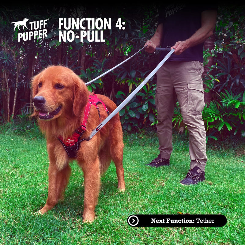 Tuff Pupper Heavy Duty Multi Function Crossbody Leash | 6 Uses in One Cross body Leash | 8 Feet Hands Free Leashes | Two Dog Leashes | Ballistic Nylon & Thick Neoprene Padding, Small Medium Large Dogs - BeesActive Australia