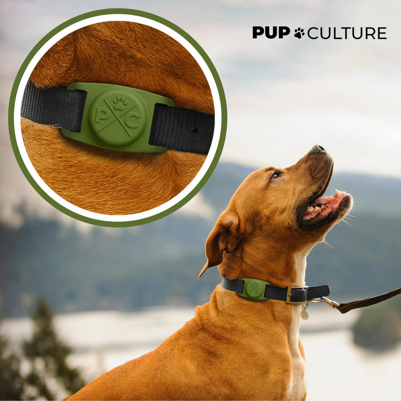 Pup Culture AirTag Dog Collar Holder, Extra-Durable, Lightweight, and Protective AirTag Case for Dog Collar - Track Your Pet Using an Apple AirTag - Dog Collar AirTag Holder- Green 1.5 Inch Collar - BeesActive Australia