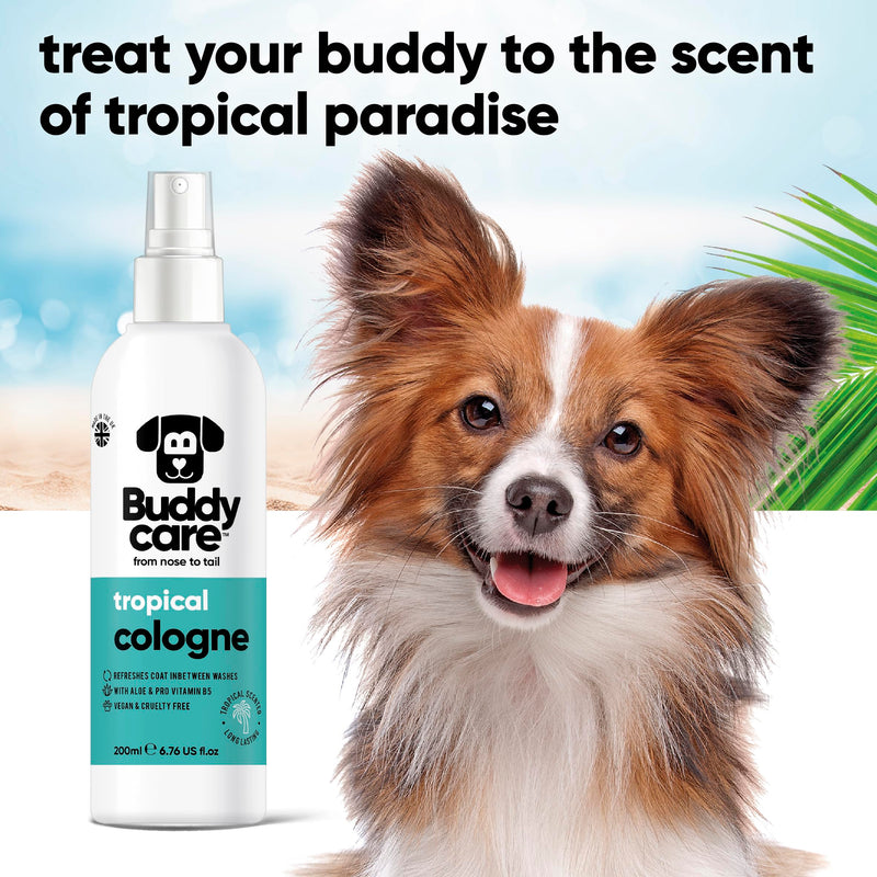 Buddycare Dog Cologne - Tropical - Refreshing and tropical scented dog perfume - Refreshes between dog washes (200 ml, 1 piece) - BeesActive Australia