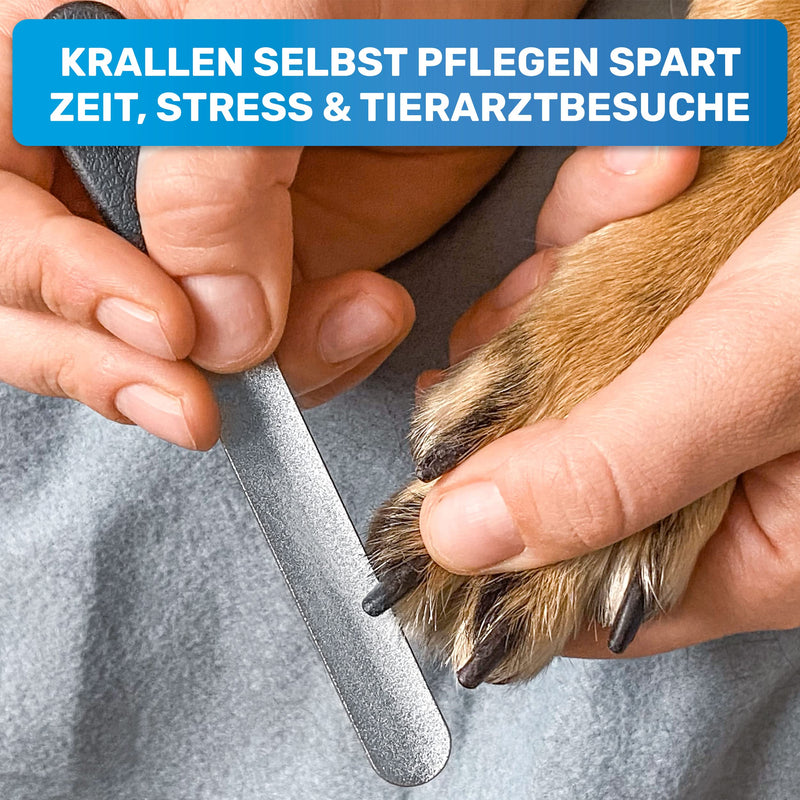 BluePet 2x set of claw files, nail files coarse & fine for removing sharp edges & optimal claw care for dogs, cats & small animals (set of 2 coarse + fine) set of 2 coarse + fine - BeesActive Australia