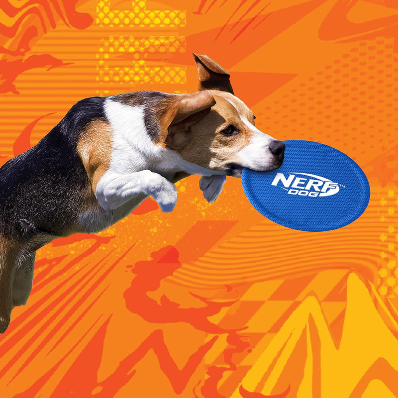 Nerf Dog Nylon Flyer Dog Toy, Flying Disc, Lightweight, Durable and Water Resistant, Great for Beach and Pool, 9 inch diameter, for Medium/Large Breeds, Single Unit, Blue 9 in Nylon Flyer - BeesActive Australia