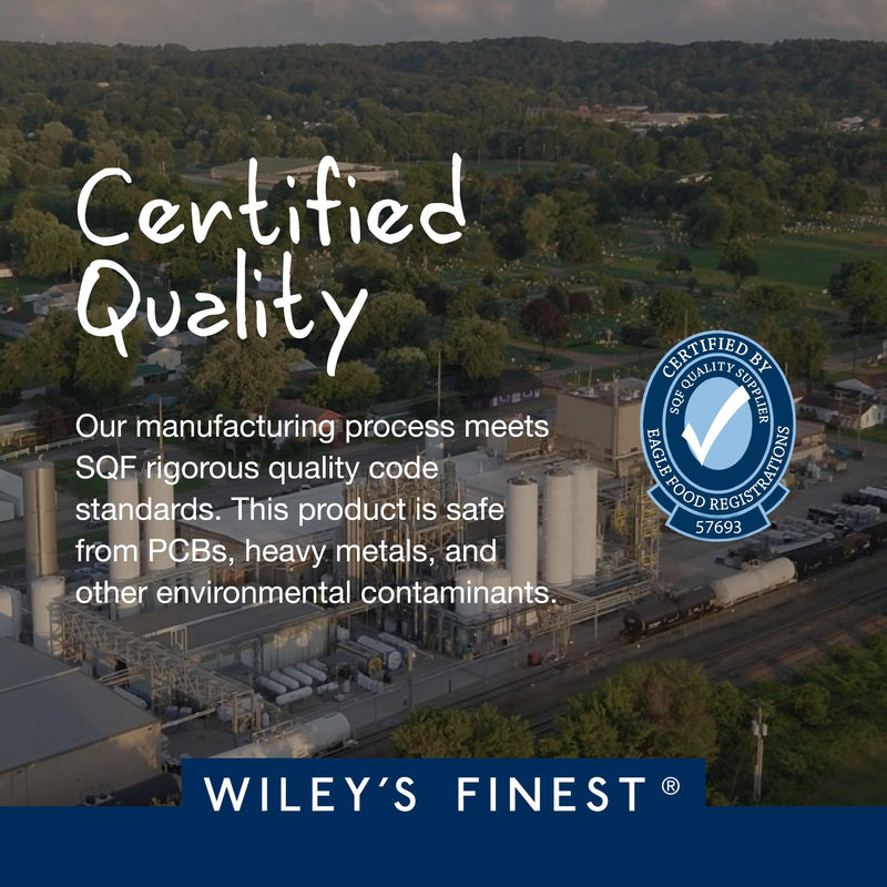 Wiley's Finest CatchFree Omega, Vegan & Plant-Powered, 4.23 oz | Brain and Heart Support, Omega-3 Liquid Support, Plant-Based Algae Oil, Includes Vitamins K2 and D3, Tropical Mango Flavored