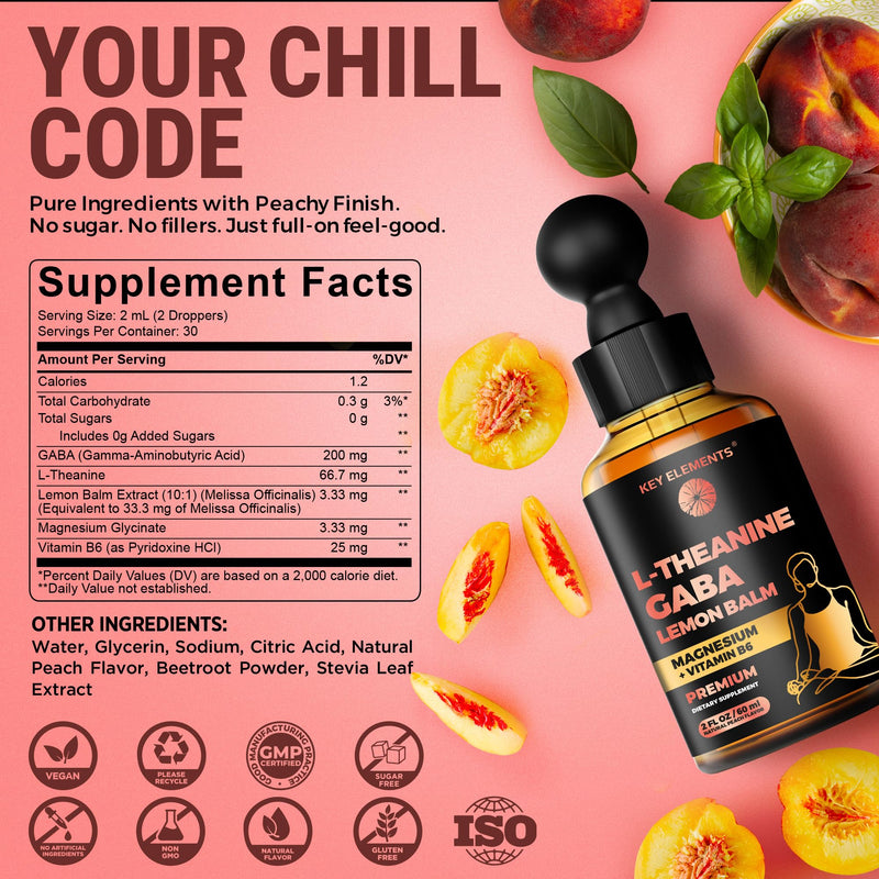 L Theanine and GABA Supplements with Lemon Balm Extract & Magnesium | L-Theanine and Magnesium with B6 | Liquid GABA L Theanine Supplements | Stress Relief & Relaxation GABA Drops