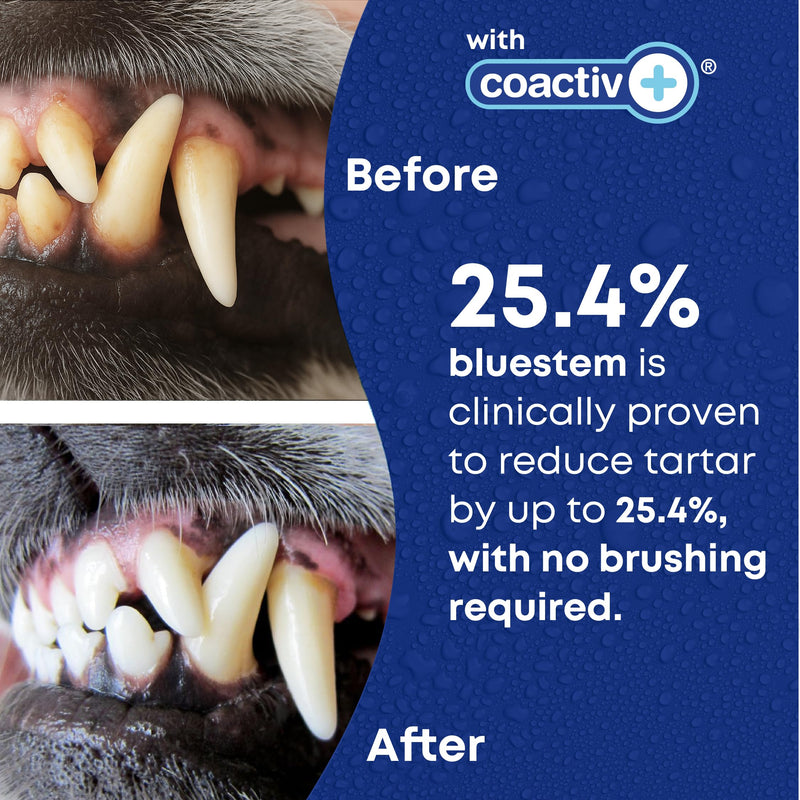 bluestem Freshens Dog and Cat Breath - Safe and Effective Dental Water Additive - 17 Ounce - Chicken