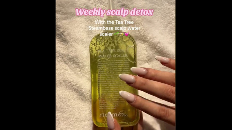 STEAMBASE Tea Tree Scalp Treatment | Purifies and Exfoliates Oily Scalp | Natural BHA & Tea Tree | Removes Odor & Buildup | Hypoallergenic Exfoliator, 8.42 fl oz Tea Tree Scalp Water Scaler Full Size, 8.45 fl oz