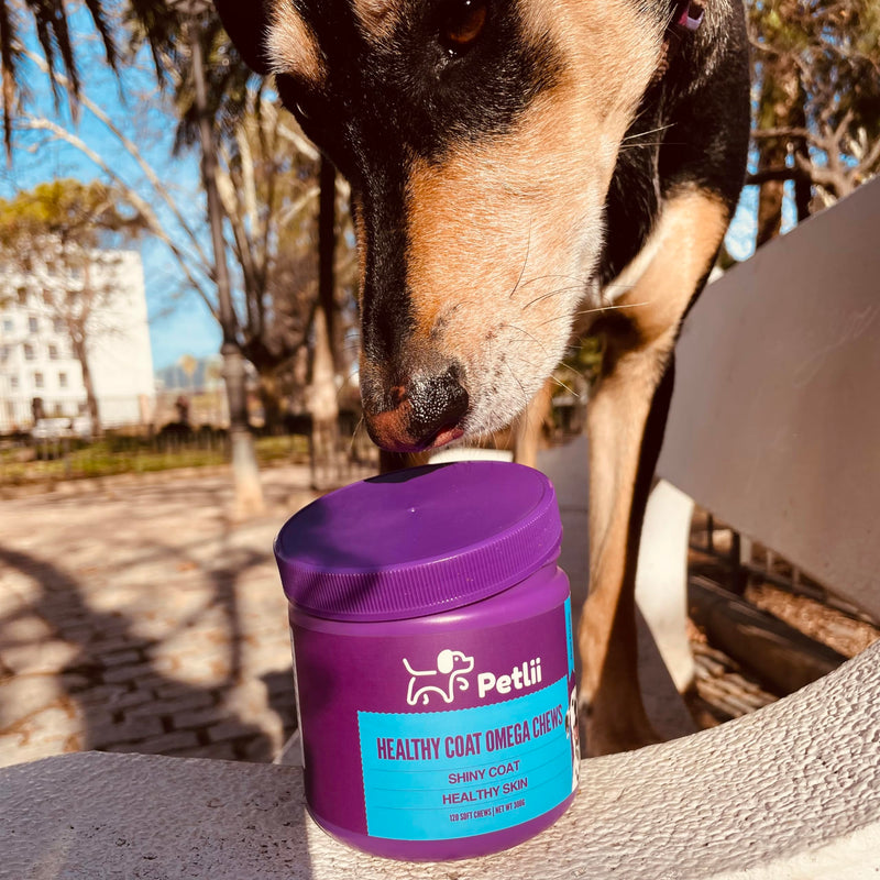 HEALTHY COAT OMEGA CHEWS - 120 Duck flavour Chews for Skin and Coat health. Omega 3, 6, 9, Biotin, Zinc, Fish Oils and Vitamins to relieve itching, allergies, dryness, patchiness and shedding