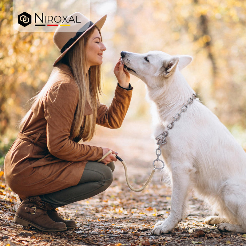 Chain choker for dogs with head circumference 43-46 cm made of V4A stainless steel dog chain with pull stop chain collar long links 4mm thick and 55 cm total length Total length: 55 cm Thickness: 4 mm - BeesActive Australia