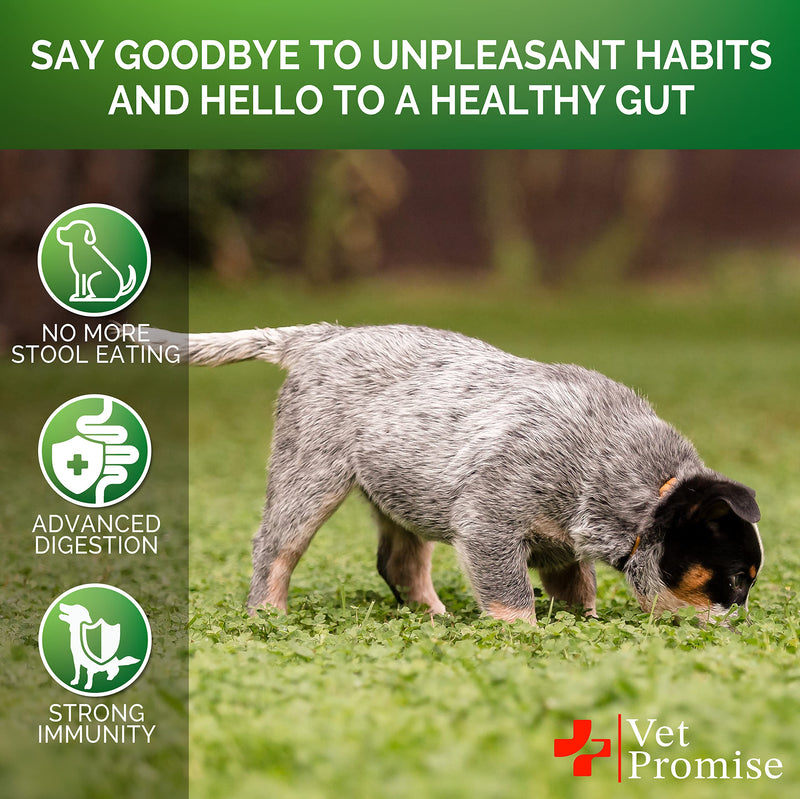 Vet Promise No Poo Chews for Dogs - Coprophagia Stool Eating Deterrent for Dogs - Prevent Dog from Eating Poop - Stop Eating Poop - Probiotics & Digestive Enzymes Supplement - Made in USA Probiotic No Poo Treats No Poo Treats - 120 Ct - BeesActive Australia