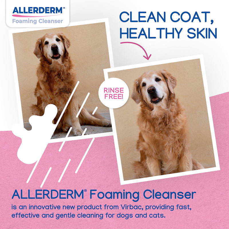 ALLERDERM Foaming Cleanser- Rinse-Free Waterless Micellar Foam for Dogs and Cats with Sensitive Skin by Virbac - PawsPlanet Australia
