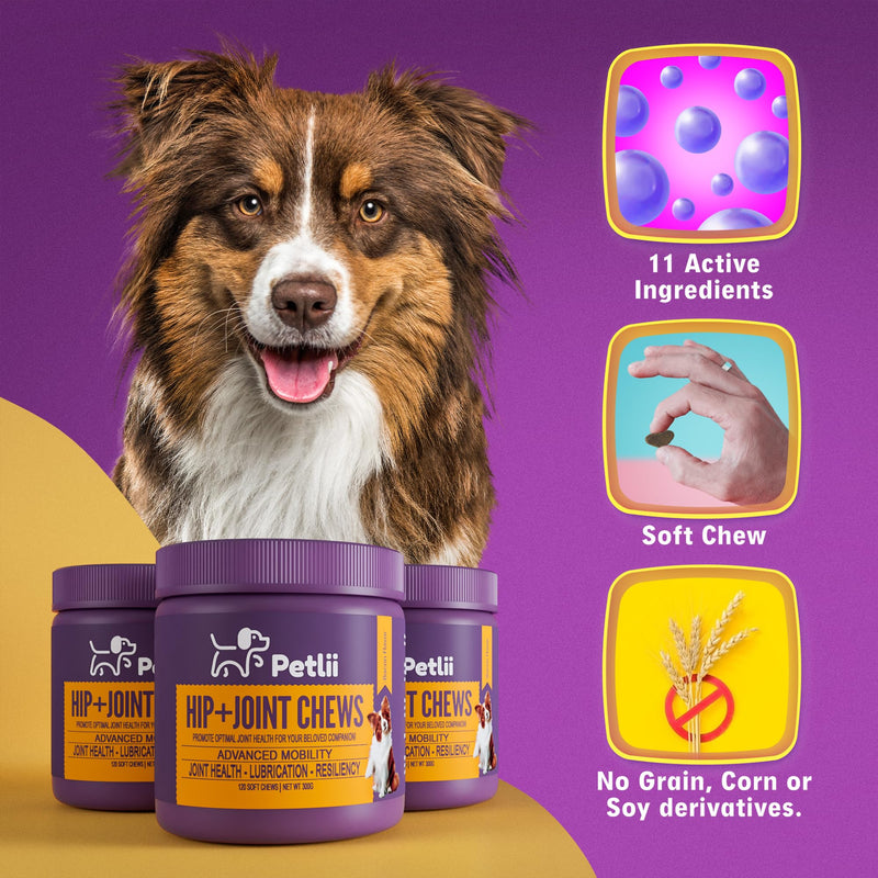 HIP and JOINT CHEWS - Dog Joint Supplements for the maintenance of Cartilage, Hips & Joints. Combines Glucosamine, Chondroitin and MSM in a convenient chew for Senior and Adult dogs - 120 Chews