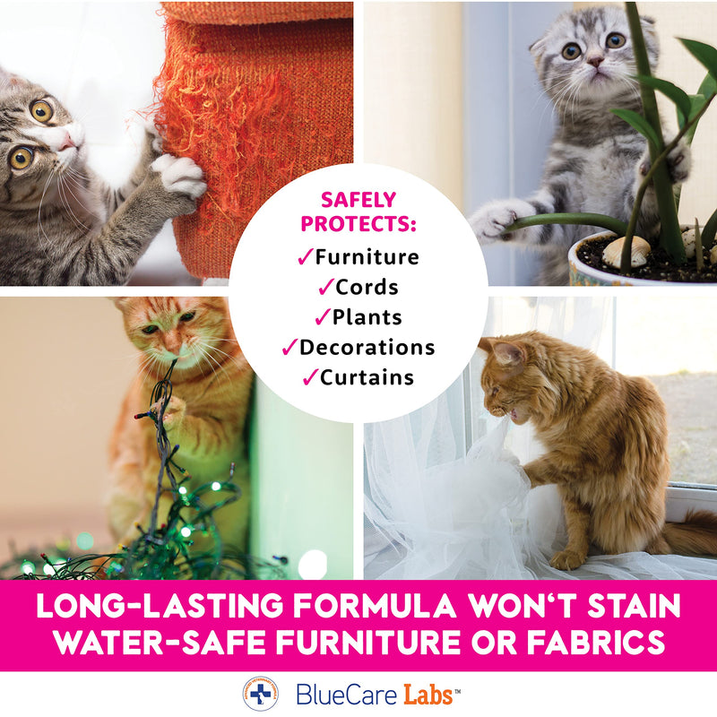 Cat Deterrent Spray with Rosemary Oil, Lemongrass & Cinnamon to Stop Cat Scratching Furniture, Plants, Floors and More - Non-Toxic - Made in USA - BeesActive Australia