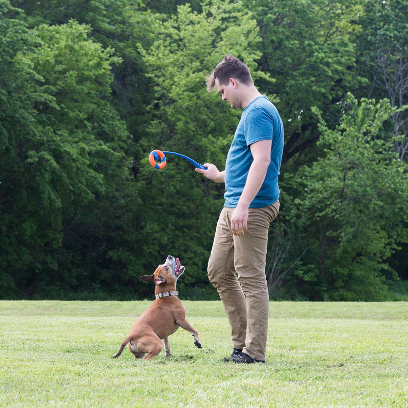 Chuckit! Ring Chaser Dog Ball Launcher Dog Toy Set, 22 Inch Length with 4.5 Inch Dog Ball Ring - BeesActive Australia