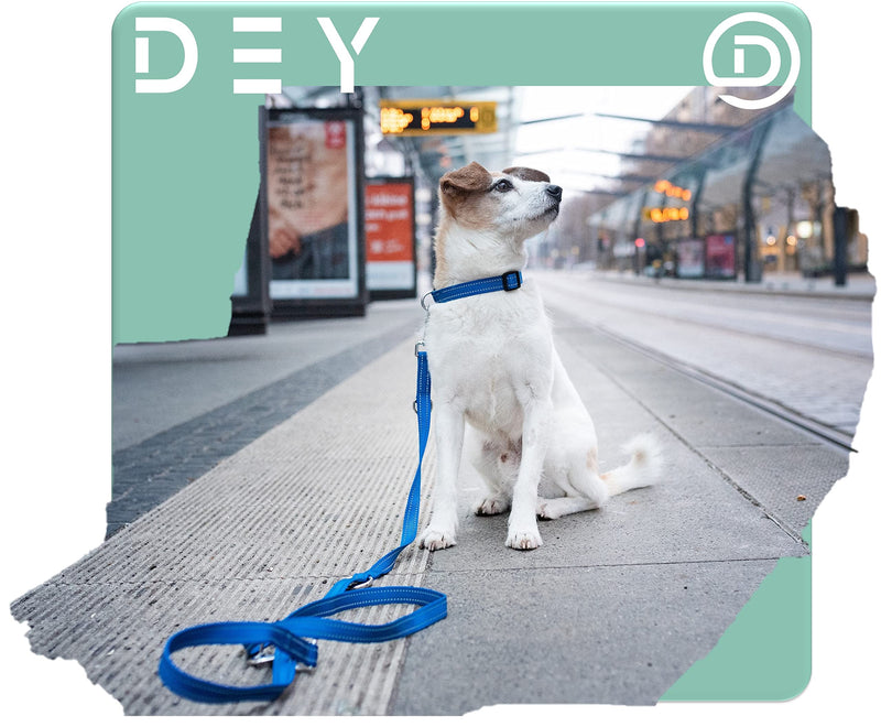 DEY - Premium dog leash nylon 2m | Reflective | 3-way adjustable | for small, medium and large dogs | many colors | double leash dog | Towline | Lead leash | Puppy leash | Red, XS [XS] - 1.0 x 200 cm Red-Reflective - BeesActive Australia