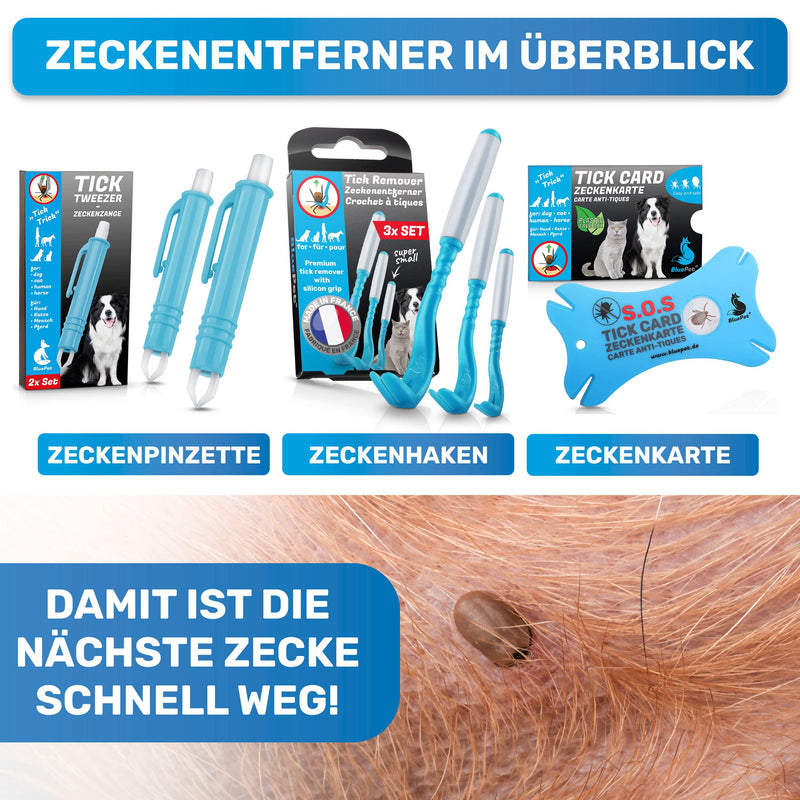 BluePet tick card with magnifying glass in credit card format - tick remover for removing ticks and nymphia from humans and animals - Tick card as first aid for dogs and cats in the house 1x tick card - BeesActive Australia