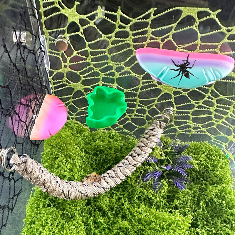 2 PCS Jumping Spider Feeding Dish, Leaf Shape Tiny Food Dishes Water Bowl with 1PC Tweezer and 1PC Dropper for Jumping Spider, Tarantula and Other Small Pets - BeesActive Australia