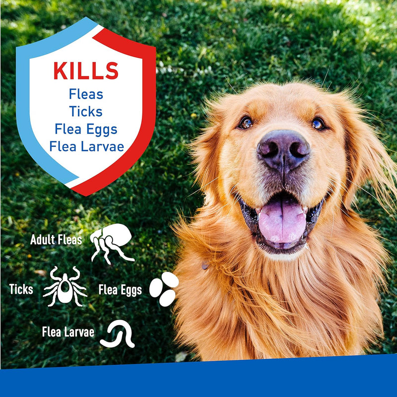 Adams Plus Flea & Tick Spray 8 fl oz - BeesActive Australia