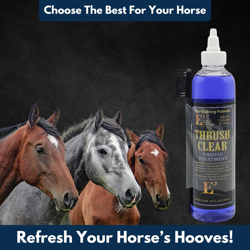 E3 Thrush Clear Treatment - 8 oz - Powerful Solution for Equine Hoof Thrush - Promotes Healthy Hoof Recovery - Prevents Future Infections - Safe for Regular Use - BeesActive Australia
