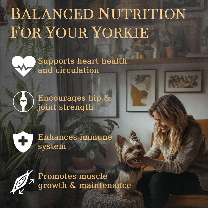 Multivitamins, Balanced Nutrition for Your Yorkie, 90 Count, Made in The USA with Real Bacon Yorkshire Terrier - PawsPlanet Australia