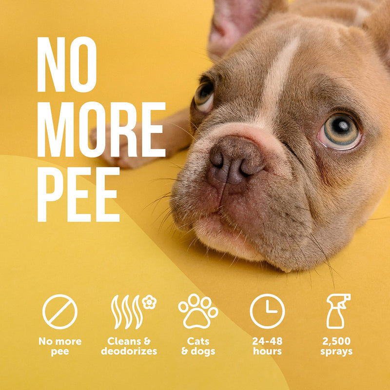 Anti Cat & Dog Urine Spray - 17 Fl Oz - No More Marking Spray for Dogs & Cats - Non-Staining Potty Training Spray for Dogs & Cats - Effective Don't Pee Here Spray for Dogs - Made in Germany - BeesActive Australia