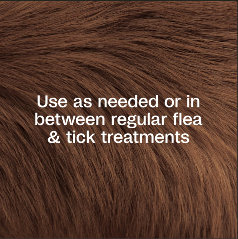 ADAMS Botanicals Flea & Tick Pet & Home Spray, Flea Spray for Dogs, Cats, Puppies, & Kittens, Indoor Home Treatment, Kills Fleas & Ticks on Pet Bedding and Furniture, 16 oz Pet + Home Spray 16 Ounces