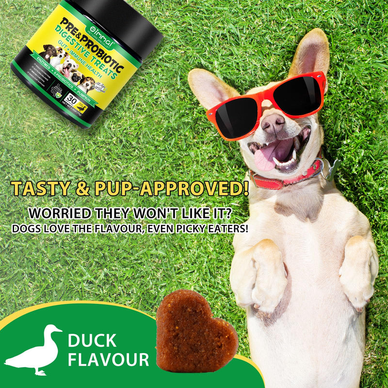 Probiotics for Dogs, 30 Soft Chews with Prebiotics, Pumpkin & Flaxseed | Supports Normal Gut Flora, Digestive Function, Skin & Coat Condition, and Everyday Wellbeing | Duck Flavour