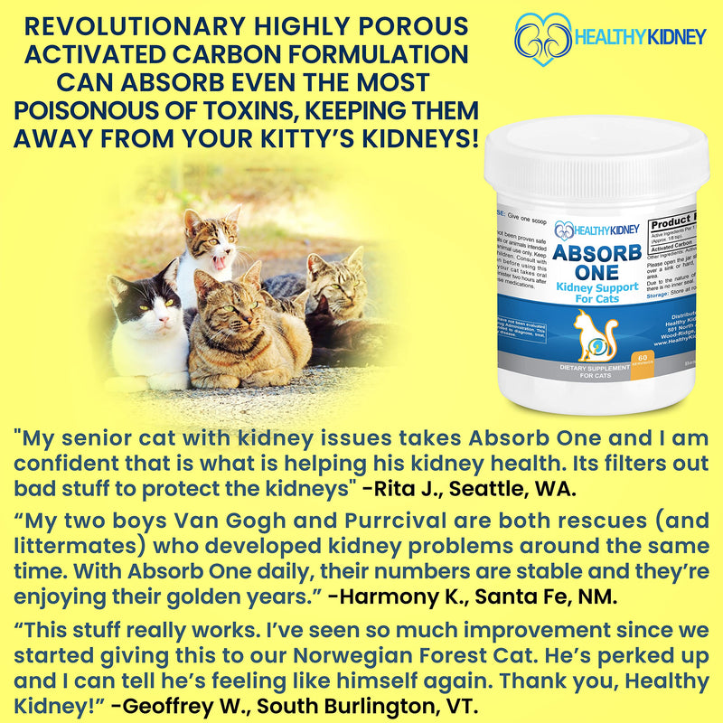 Cat Kidney Support Supplement for Normal Kidney Function in Cats. Natural Feline Kidney Cleanse Take with Any Kidney Cat Diet Food. Vet-Formulated 1/8 TSP a Day 60 Servings: Absorb One