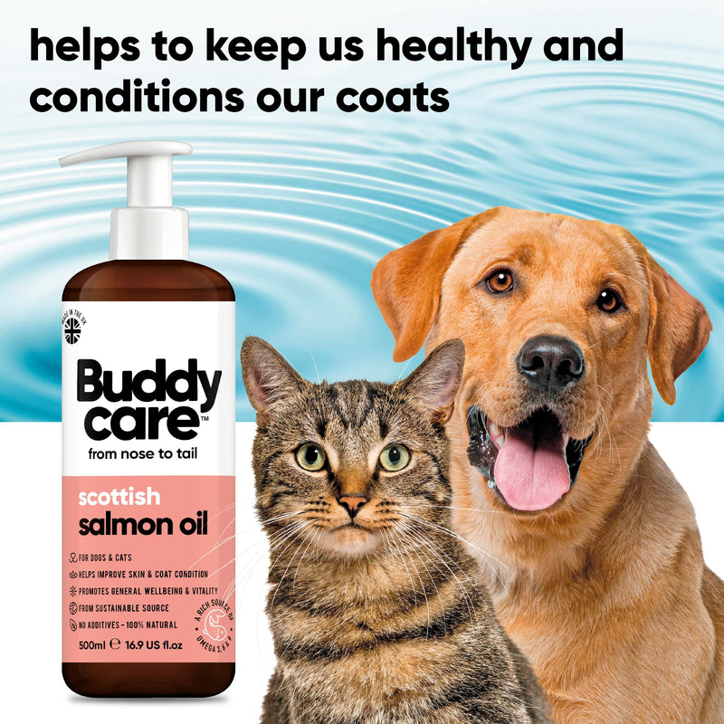 Buddycare Scottish Salmon Oil for Dogs and Cats (500ml x2) 100% Natural & Sustainable Supplement | Rich in Omega 3, 6 & 9 for Boosting the Health & Vitality of your Pet’s Skin, Coat & Immune System 500ml x2