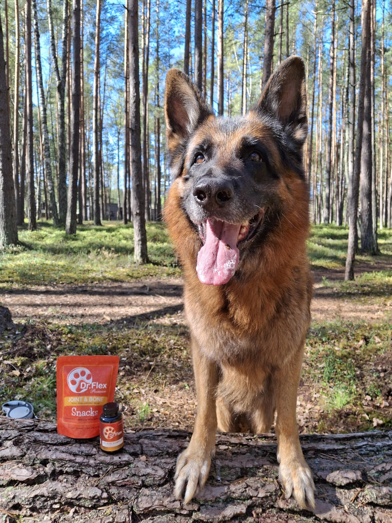 Dr. Flex Treats & Chews for Dogs - 100% Supports Joints & Bones - High Protein Chews with Vitamins C & E, Glucosamine, MSM, Hylauronic, Salmon Oil - 60 Soft Chews Joint & Bone