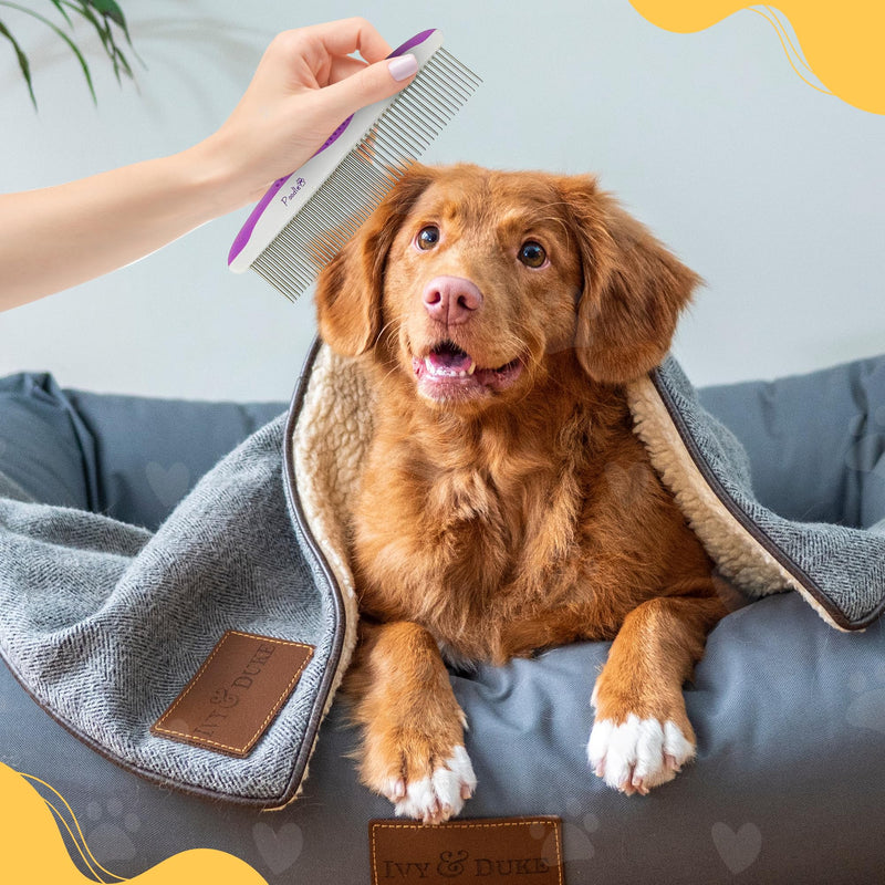 Poodle Pet Dog Combs for Grooming | 2 Pack | Stainless Steel Teeth Easily Remove Dirt | Proper Care Prevents Knots and Mats for Long and Short Haired Pets |Anti-Slip Comfort Grip Handle| Purple - BeesActive Australia