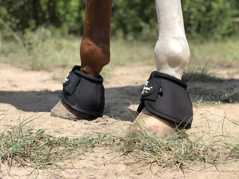 TGW RIDING 2520D Horse Bell Boots No-Turn Horse Bell Boots, Equine Ballistic Hoof Overreach Bell Boot, Pair Black Large - BeesActive Australia
