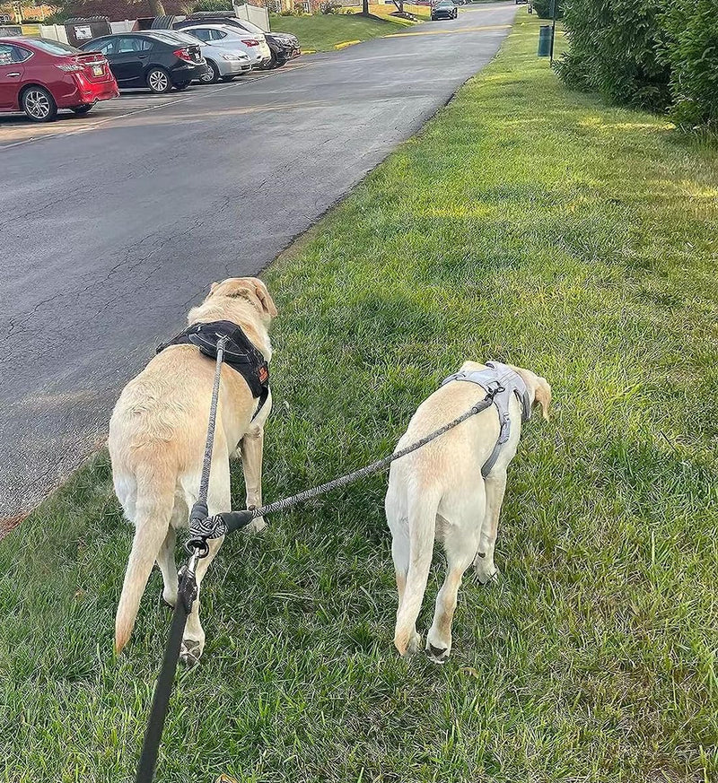Double Dog Leash Coupler, Tandem Leash for Two Dogs, No Tangle 360° Swivel Rotation Dual Strong Dog Leash Splitter, for Large Medium Small Dogs (33 inch- Large) Black Large (1/2"D x 33"L) - BeesActive Australia