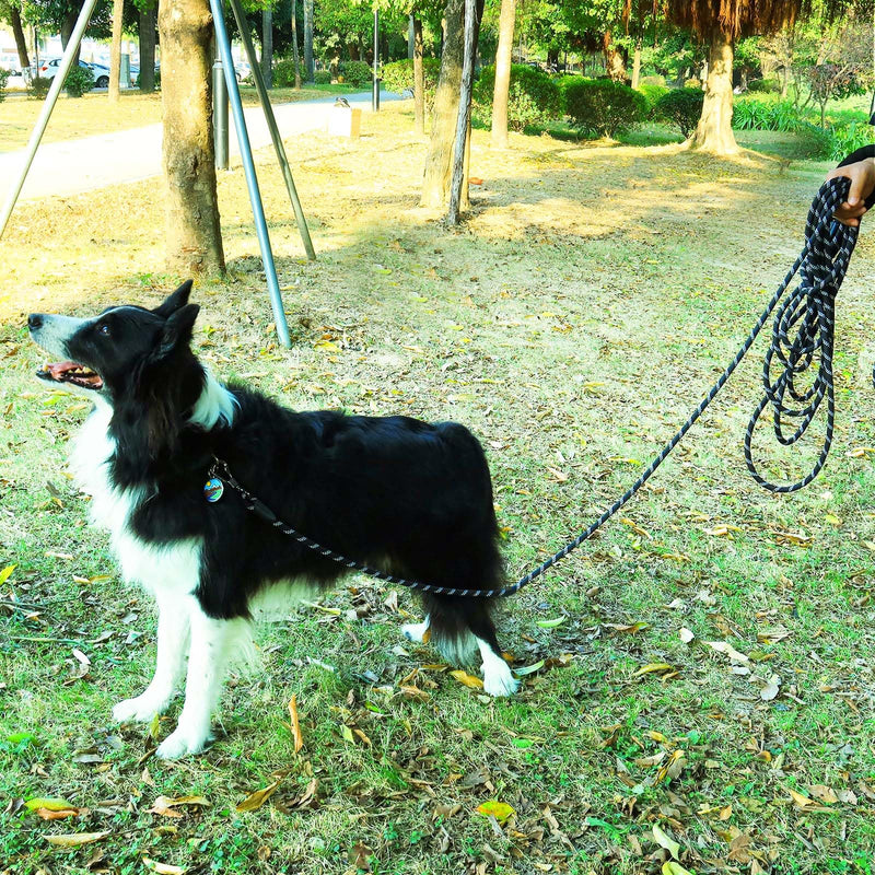 Long Dog Leash for Dog Training 16FT/30FT/50FT/100FT, Reflective Dog Leash with Lockable Hook, Heavy Duty Dog Lead Tie Out Rope for Large Medium Small Dogs Outside Walking, Playing, Camping, or Yard 30FT*3/8 inch Black - BeesActive Australia
