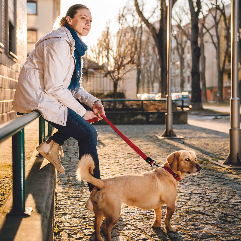Kruz Premier 5ft Dog Mesh Leash - KZA1160-14M/L - Lightweight, Breathable, Comfort Puffy Mesh Leash - Secure Dual-Layered Tangle-Free Mesh Lead for Dog Walking, Running, Training - Red - 1" x 5 FT Large: 1" x 5 FT - BeesActive Australia