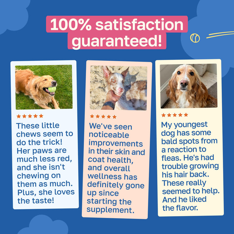 Happy Paws Skin and Coat Supplement for Dogs, Itch & Allergy Relief Support, Daily Dry Skin Comfort & Shedding Care with Coconut Oil & Vitamin B12, Vegan Chicken Flavor, 100 Chews 100 Count