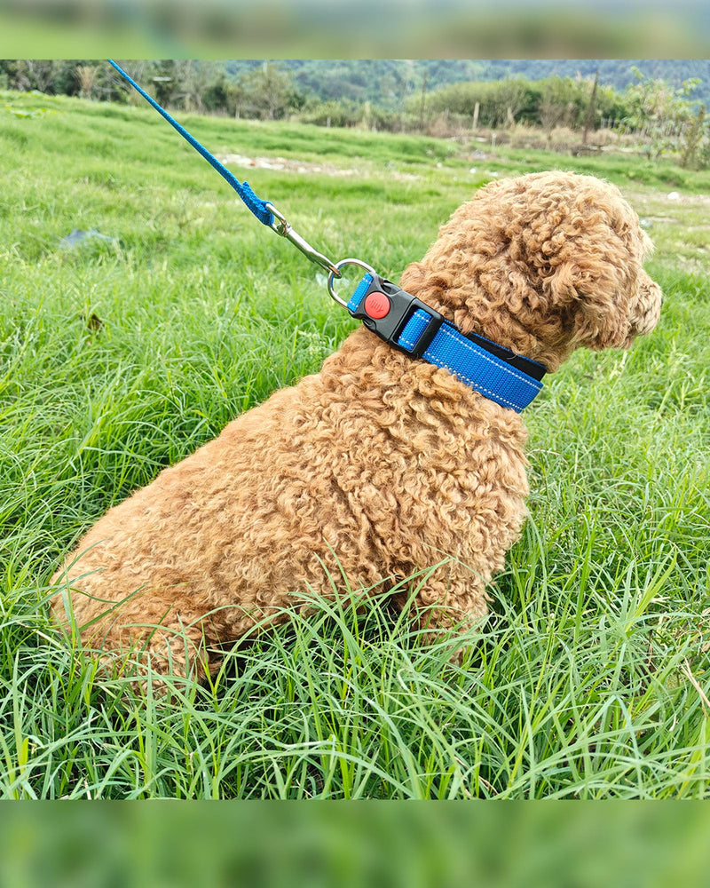 Aeclleca Reflective Dog Collar and Leash Set with Safety Locking Buckle，Adjustable Soft Nylon Pet Collars for Small Medium Dogs (Blue, XS) Blue - BeesActive Australia