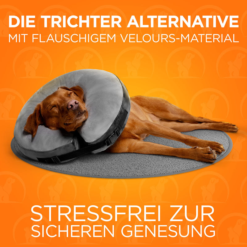 Tierhood Dog Neck Brace - Inflatable Dog Collar Leak Protection Dog - Dog Neck Brace Soft - Collar for Dogs After Surgery - Protective Dog Collar - Quick Recovery for Injured or Operated Areas - L Grey - BeesActive Australia