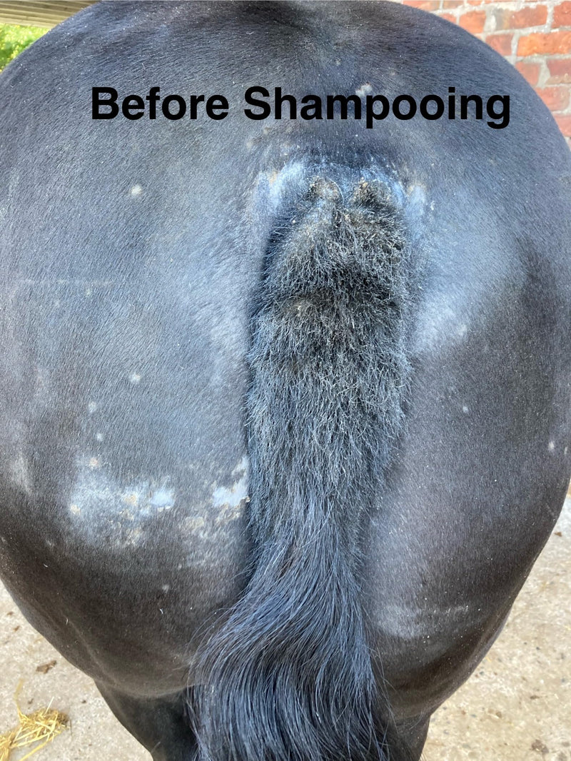Farriers Equine Care Stop Itch Shampoo (500ml) for Horses and Donkeys