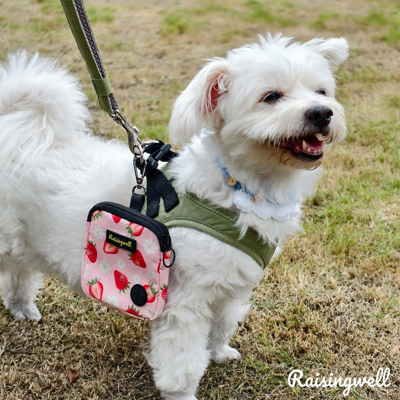 Dog Treat Pouch,Training Clicker and Poop Bags,Strawberry Treat Pouches for Pet Training Pocket Sized Pet Training Pouch, Zipper Pet Feed Snack Reward, for Puppy Travel or Outdoor Use. 2. Strawberry - BeesActive Australia