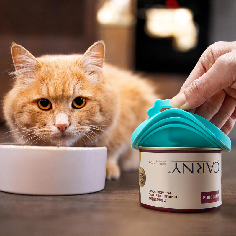 Can Lids silicone food grade 3 piece - Can Covers, Can Lid, Cat Food Top, Cat Food Can Covers Lids, Dog Food Can Covers Lids, Cat Food Lid Covers - Earthy Horizon - BeesActive Australia
