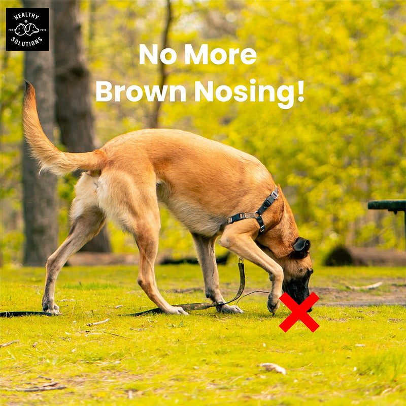 Deterrent for Dogs Eating Poop - Coprophagia No Poo Chews Prevent Dog from Eating Stool - Chew Enhanced with Breath Freshener, Enzymes, & Probiotics to Help Ease and Stop This Nasty Habit | 120ct 120 Soft Chews - BeesActive Australia