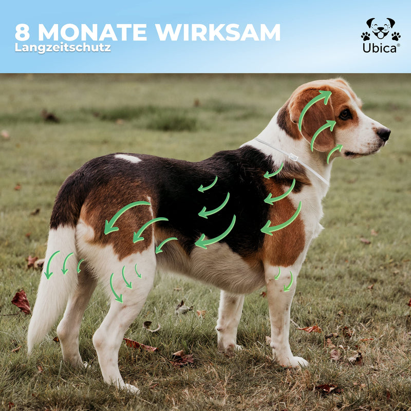Ubica® tick collar for cats - flea collar for cats - tick protection - flea treatment for cats - formula with essential oils (lemongrass) - 100% WATERPROOF 3 tick clips free - BeesActive Australia