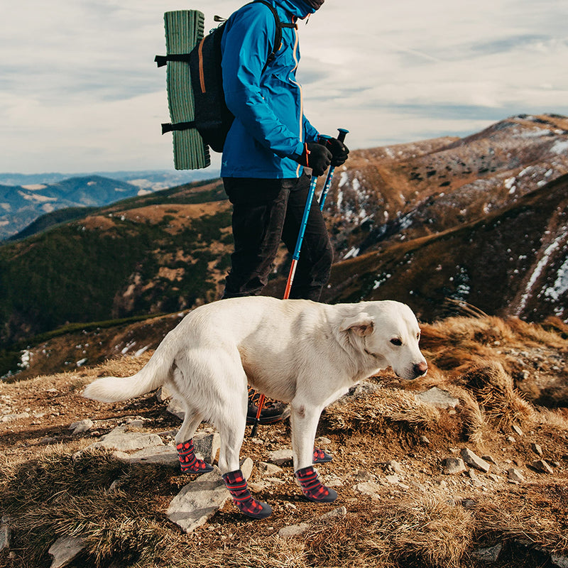 FLYSTAR Dog Shoes for Medium Large Dogs, Waterproof Anti-Slip Rain/Snow Winter Warm Outdoor Dog Boots, Adjustable Reflective Rubber Sole Paw Protector Dog Shoes for Running Hiking Walking,etc. #8 ( paw width : 2.3" -3.1") - BeesActive Australia