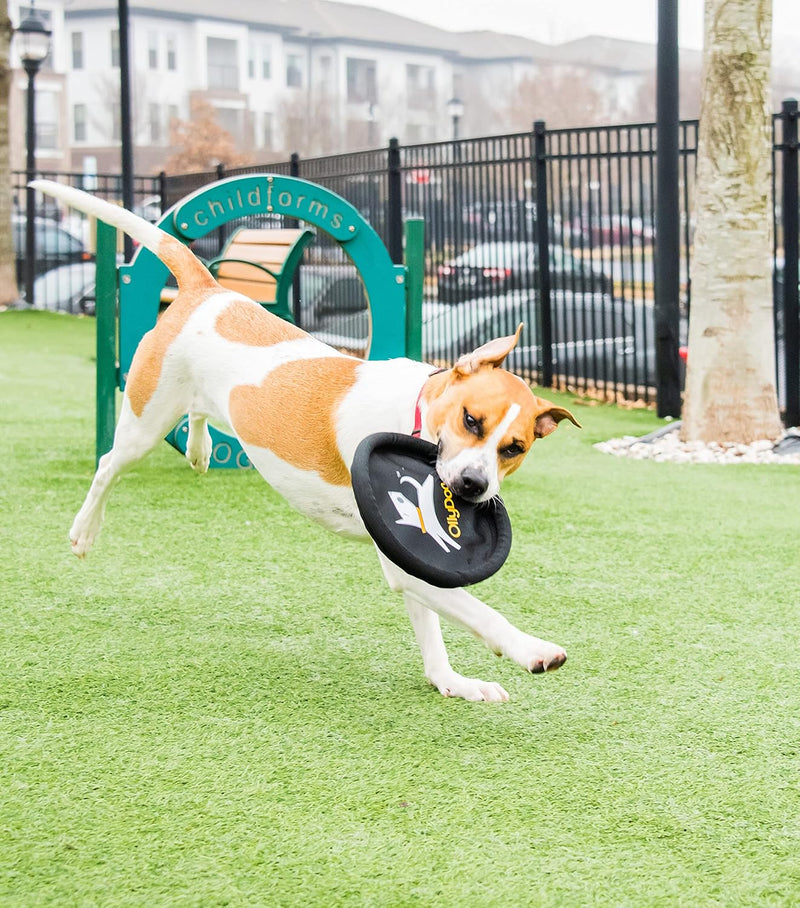 OllyDog Flyer Disc, Dog Frisbee, Lightweight and Floating, Dog Toys Interactive, Dog Stuff, Gentle on Teeth and Gums (Strawberry Ice) Strawberry Ice - BeesActive Australia