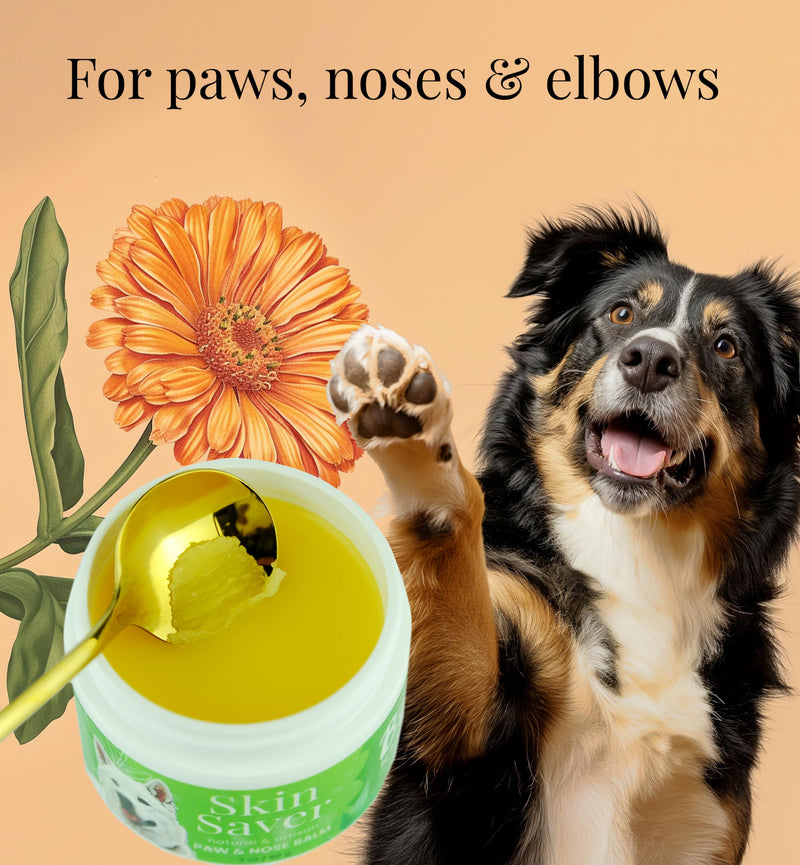 Paw & Nose Balm - All Natural & Vegan Skin Saver for Dogs & Cats - Paw Cream & Lotion for Protecting Dry Paws, Noses & Elbows (2 oz / 60 g Jar) 2 oz / 30 g Jar