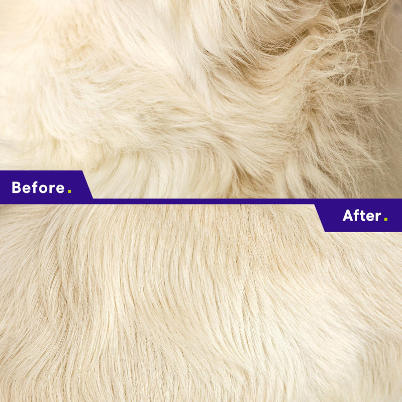 Pet Grooming Rake for Dogs & Cats - Dematting Comb Tool for Removing Matted Hair from Under Coat, Shedding Control - Non-Scratch Detangler & Dog Undercoat Fur Remover - Ebook Guide - BeesActive Australia