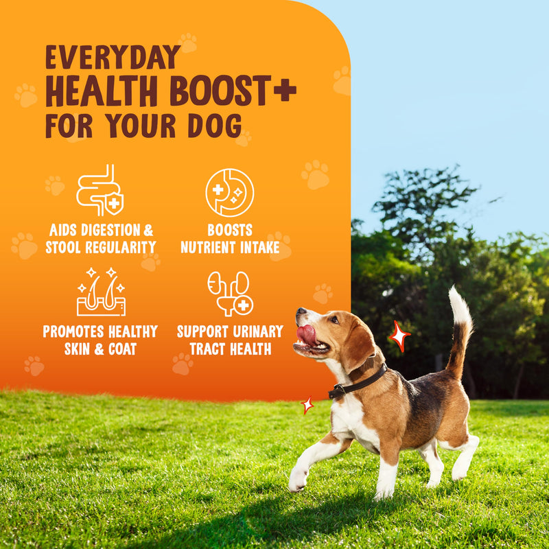 Digestive Wellness for Dogs – Pumpkin Powder & Sweet Potato Chews – High Fiber Natural Digestive Support, Healthy Treats & Food Topper