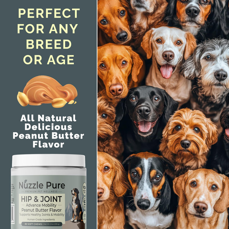 Nuzzle Pure Advanced Dog Hip and Joint Supplement with Glucosamine, Chondroitin, MSM, 80 Peanut Butter Flavor Soft Chews for Senior & All Ages, Human Grade, All Natural & Organic Ingredients.