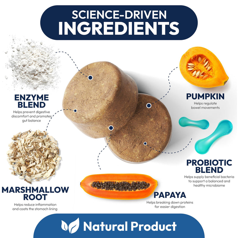 Probiotics for Dogs - 250 Dog Probiotics Chews - Digestive Enzymes & Prebiotics - Support Gut Health, Diarrhea, Gas & Constipation Relief - Itchy Skin, Allergies, Yeast Balance - Advanced Supplement 250 Chews Probiotic Chews
